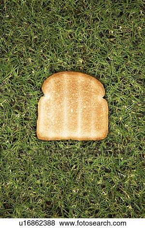 One slice of toast on grass. View Large Photo Image Stock Photo - One slice of toast on grass.. Fotosearch
