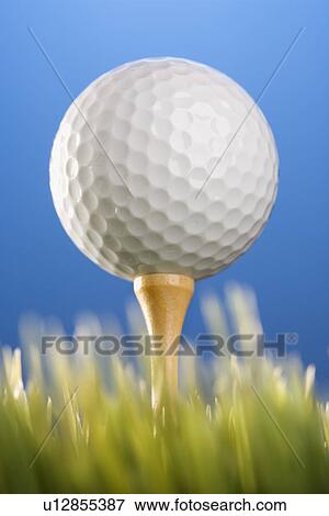 Studio shot of a golf ball on a tee in grass View Large Photo Image Stock Photo - Studio shot of a golf ball on a tee in grass. Fotosearch