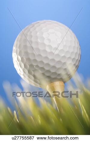 Studio shot of a golf ball on a tee in grass View Large Photo Image Stock Photo - Studio shot of a golf ball on a tee in grass. Fotosearch