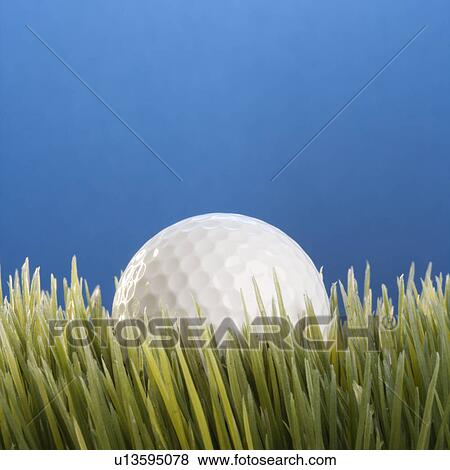 Studio shot of a golf ball resting in grass View Large Photo Image Stock Photo - Studio shot of a golf ball resting in grass. Fotosearch
