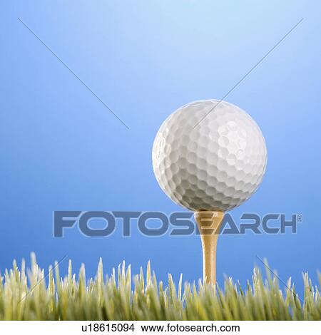 Picture - Studio shot of a golfball on a tee in grass.. Fotosearch