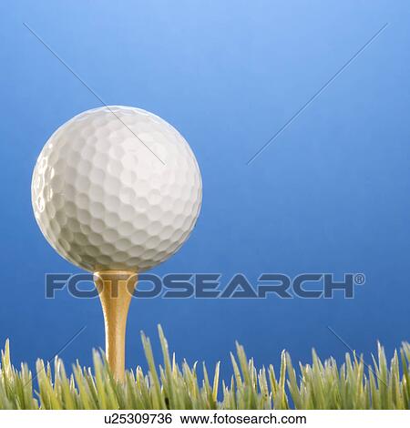 Stock Photograph - Studio shot of a golfball on a tee in grass.. Fotosearch