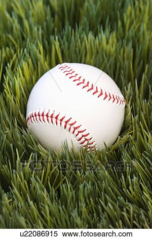 Stock Photography - Studio shot of baseball resting in grass. Fotosearch