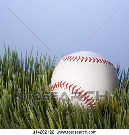 Studio shot of baseball resting in grass. View Large Photo Image Stock Image - Studio shot of baseball resting in grass.. Fotosearch