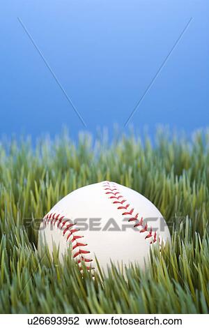 Studio shot of baseball resting in grass. View Large Photo Image Stock Image - Studio shot of baseball resting in grass.. Fotosearch