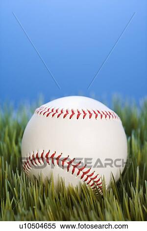 Studio shot of baseball resting in grass. View Large Photo Image Stock Photography - Studio shot of baseball resting in grass.. Fotosearch