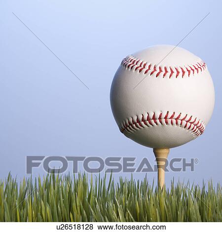 Studio shot of baseball resting on golf tee in grass. View Large Photo Image Stock Photo - Studio shot of baseball resting on golf tee in grass.. Fotosearch