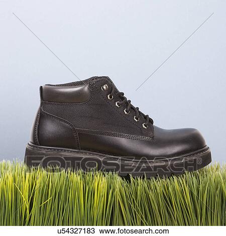 Studio shot of black leather shoe resting on grass View Large Photo Image Stock Image - Studio shot of black leather shoe resting on grass. Fotosearch