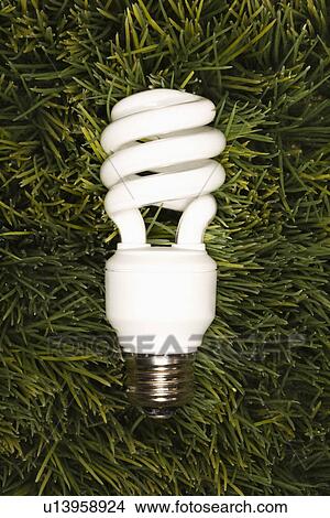 Studio shot of energy saving light bulb laying in grass View Large Photo Image Picture - Studio shot of energy saving light bulb laying in grass. Fotosearch