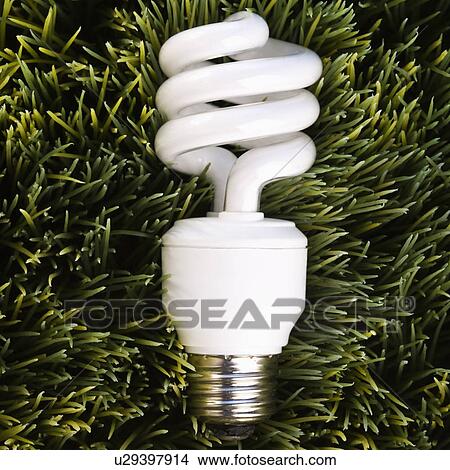 Studio shot of energy saving light bulb laying in grass View Large Photo Image Picture - Studio shot of energy saving light bulb laying in grass. Fotosearch