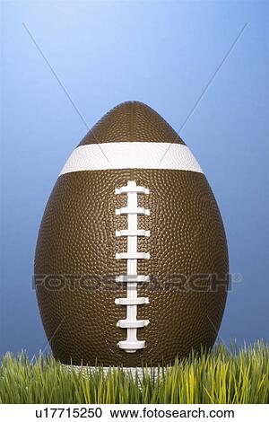 Studio shot of football resting in grass. View Large Photo Image Stock Image - Studio shot of football resting in grass.. Fotosearch