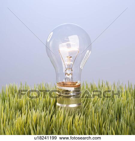 Studio shot of glass light bulb in grass View Large Photo Image Stock Photo - Studio shot of glass light bulb in grass. Fotosearch