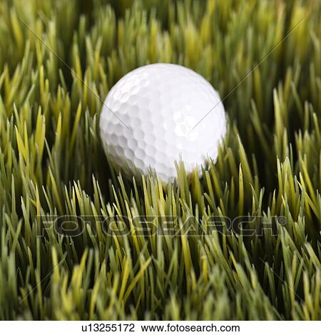 Studio shot of golf ball resting in grass View Large Photo Image Stock Image - Studio shot of golf ball resting in grass. Fotosearch