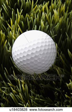 Stock Photo - Studio shot of golfball resting in grass.. Fotosearch