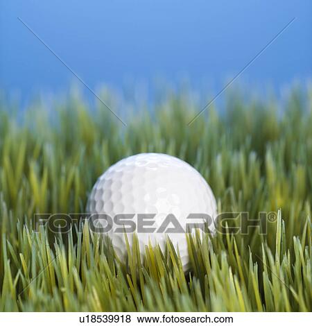 Studio shot of golfball resting in grass. View Large Photo Image Stock Photo - Studio shot of golfball resting in grass.. Fotosearch