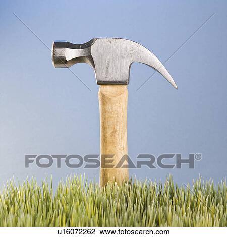 Stock Image - Studio shot of hammer with wooden handle placed behind grass.. Fotosearch
