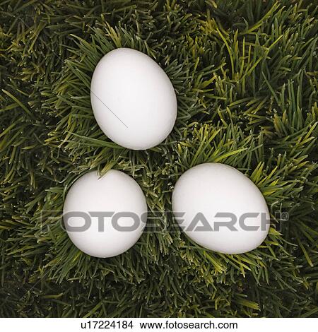 Picture - Studio shot of three white eggs laying in grass. Fotosearch
