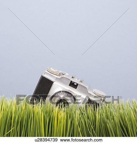Studio shot of vintage camera in grass View Large Photo Image Stock Photo - Studio shot of vintage camera in grass. Fotosearch