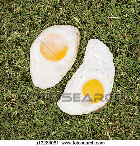 Two fried eggs on grass View Large Photo Image Stock Image - Two fried eggs on grass. Fotosearch