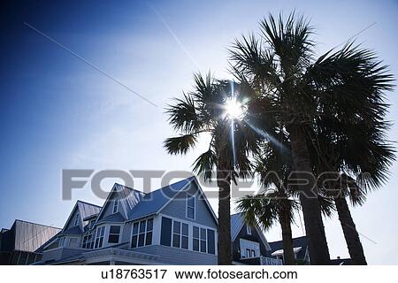 House with palm trees on Bald Head Island, North Carolina View Large Photo Image Stock Photo - House with palm trees on Bald Head Island, North Carolina. Fotosearch