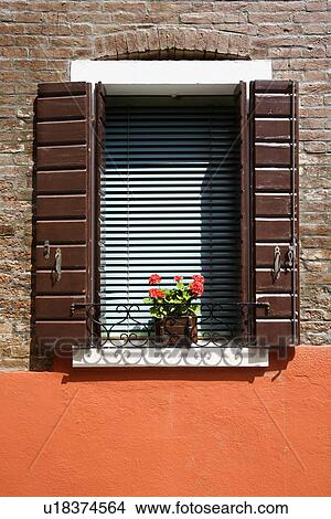 Potted red geraniums sitting on sunny window sill View Large Photo Image Picture - Potted red geraniums sitting on sunny window sill. Fotosearch