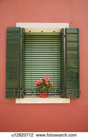 Potted red geraniums sitting on sunny window sill. View Large Photo Image Stock Image - Potted red geraniums sitting on sunny window sill.. Fotosearch