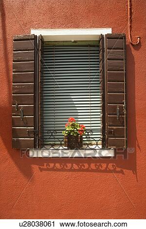 Potted red geraniums sitting on sunny window sill View Large Photo Image Stock Image - Potted red geraniums sitting on sunny window sill. Fotosearch