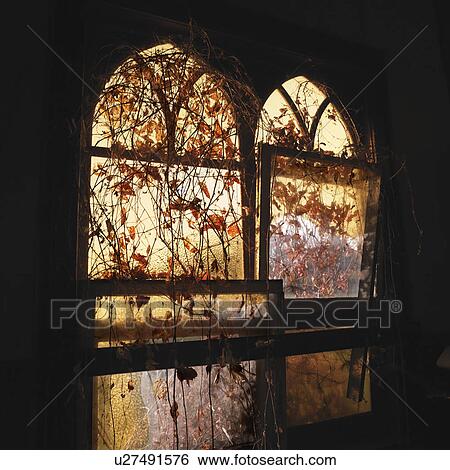 Stock Photograph - Sunlight glowing through dilapidated arched windows covered in vines creating dreamy mood. Fotosearch