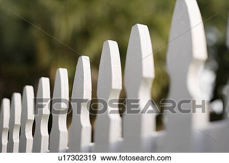 White picket fence View Large Photo Image Stock Photo - White picket fence. Fotosearch