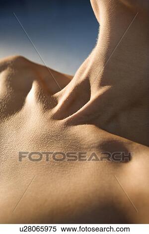 Neck and upper chest of woman. View Large Photo Image Stock Photography - Neck and upper chest of woman.. Fotosearch