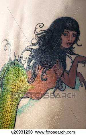 Close-up of Caucasian woman's back with mermaid tattoo. View Large Photo Image Stock Image - Close-up of Caucasian woman's back with mermaid tattoo.. Fotosearch