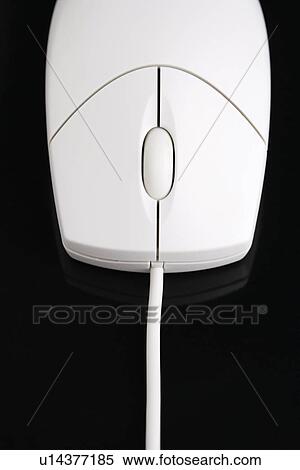 Computer mouse View Large Photo Image Stock Photography - Computer mouse. Fotosearch