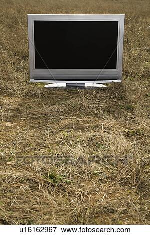 Flat panel television set in grassy field. View Large Photo Image Stock Photo - Flat panel television set in grassy field.. Fotosearch