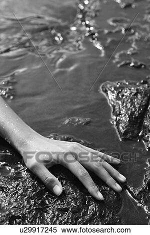 Close up of young adult female hand in water on rocks View Large Photo Image Stock Photography - Close up of young adult female hand in water on rocks. Fotosearch
