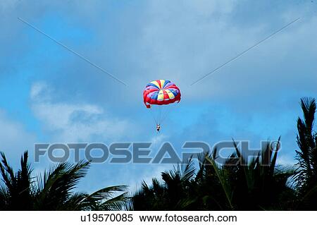 dubai, gliding, parashuting, sport, palm, clear View Large Photo Image Stock Photography - dubai, gliding, parashuting, sport, palm, clear. Fotosearch