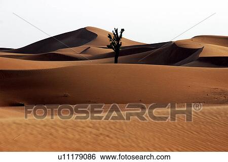 Stock Photograph - desert, sand, dune. Fotosearch
