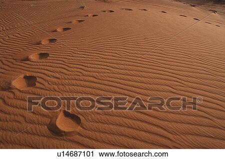 Stock Image - dubai, desert, adventure, dune, shadow. Fotosearch