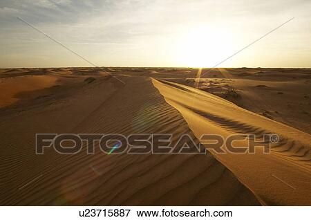 Stock Photo - dubai, desert, dune. Fotosearch