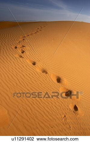 Stock Image - footsteps, foot, steps, desert, dunes, walking, blue. Fotosearch