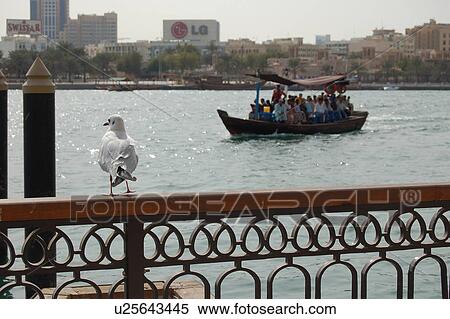 dubai, creek, bird, boat View Large Photo Image Stock Photography - dubai, creek, bird, boat. Fotosearch
