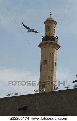 Picture - dubai, mosque, islamix, birds, deira. Fotosearch