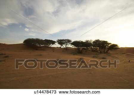 Stock Image - dubai, desert, dune. Fotosearch