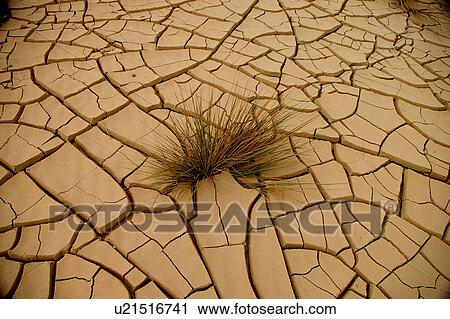 Stock Image - sand, Country, desert, Sharjah, UAE, Arabic. Fotosearch