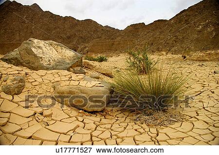 Stock Photo - sand, Country, desert, Sharjah, UAE, bushes, Arabic. Fotosearch