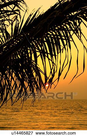 Stock Photo - dubai, palm, sunset, sunrise. Fotosearch