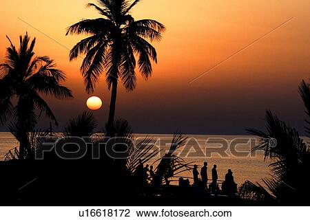 Stock Image - palm, sunset, sunrise, people, beach. Fotosearch