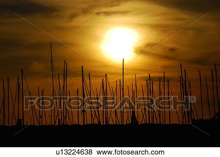 sunset, sun, rise, sunrise, port, boats, gold View Large Photo Image Stock Photo - sunset, sun, rise, sunrise, port, boats, gold. Fotosearch