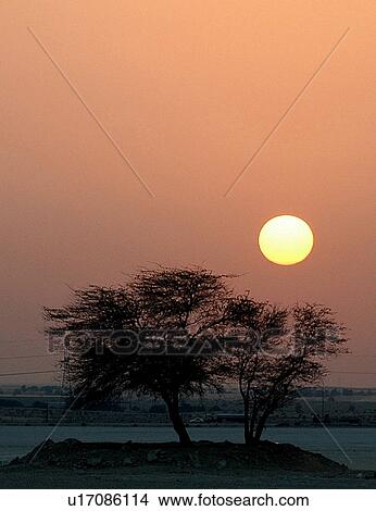 Picture - sunset, sunrise. Fotosearch
