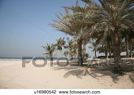 Stock Image - dubai, mamzar, madina, jumeirah, burj, arab. Fotosearch