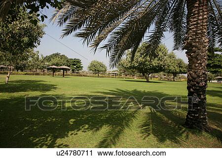 dubai, mamzar, madina, jumeirah, burj, arab View Large Photo Image Stock Image - dubai, mamzar, madina, jumeirah, burj, arab. Fotosearch
